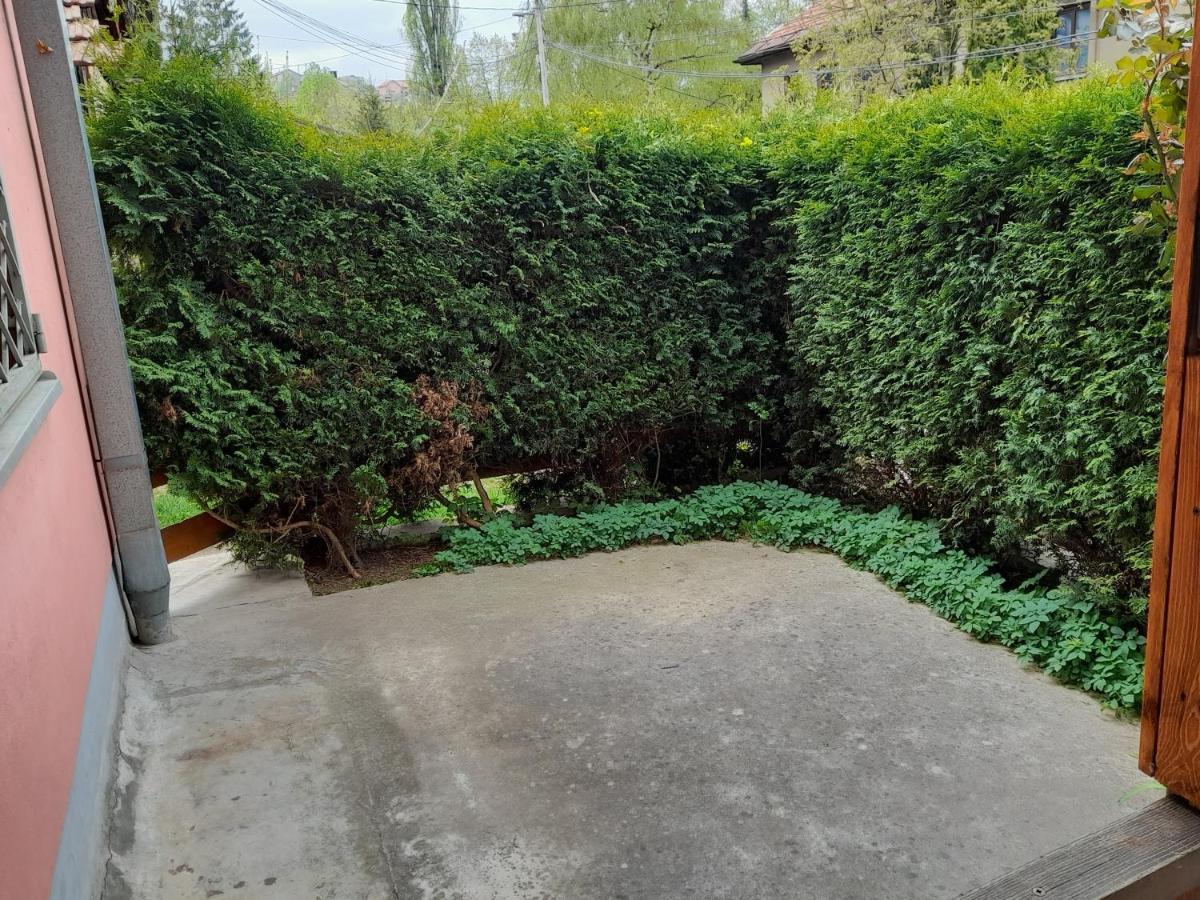 Pine Tree Apartment Sarajevo Exterior photo